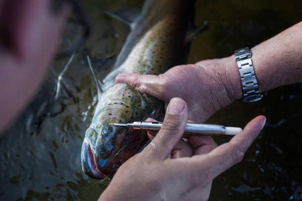 How Pool Scientists Use Technology for Precise Water Testing